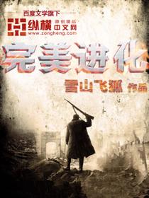 完美进化的人类