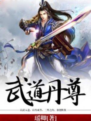 武道丹尊小笔童