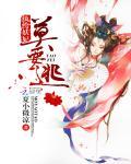 纨绔妖妃免费阅读全文原文