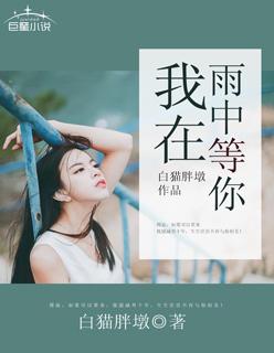 我在雨中等你免费观看英文版