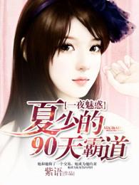 一夜魅惑:夏少的90天霸道