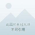今天开始做神王